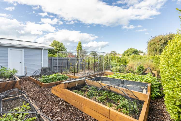 37 Chester Street Taradale_22