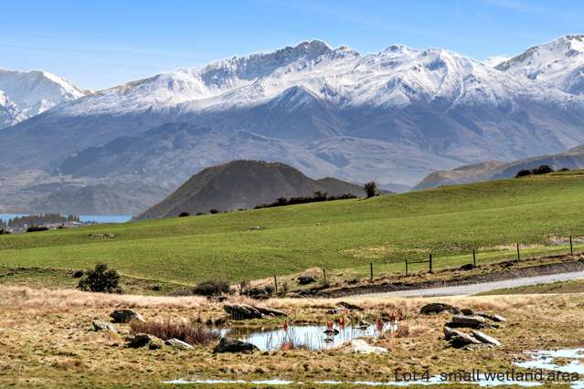 Twin Lakes Premier Subdivision Luggate_2