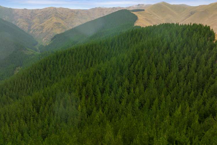 State Highway 63 Renwick_9