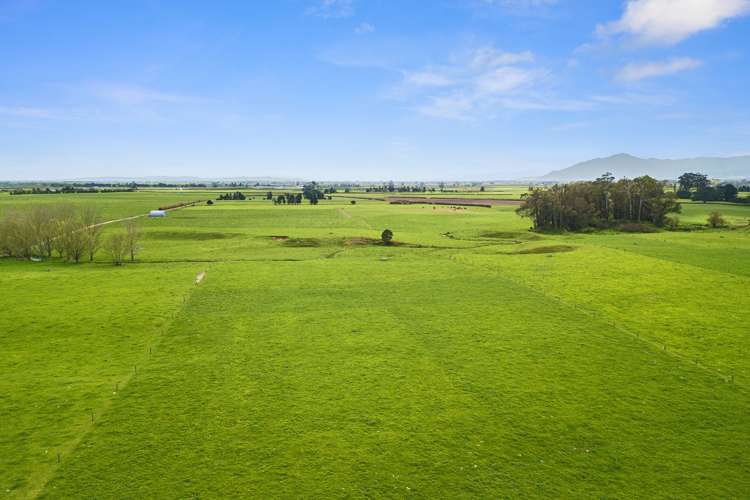 Wardville Road Wardville_11