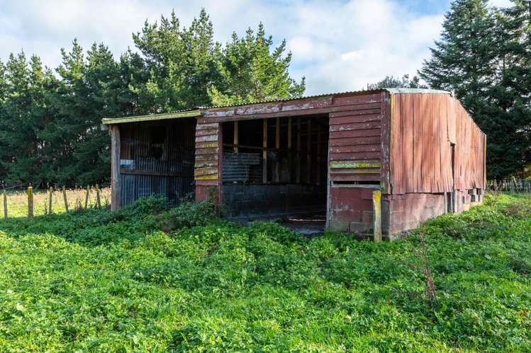 156 Vogel Street Woodville_15