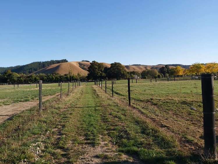 367 Wakefield-Kohatu Highway Wakefield_12