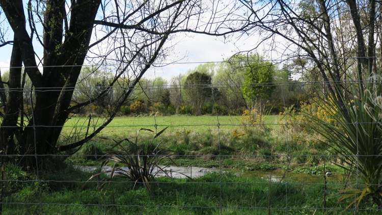 3957 Northbank Road Wairau Valley_12