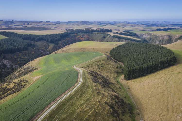 98 Johnstons Road Five Forks and Surrounds_10