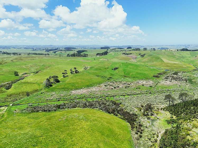 Lot Lot 2 Scottys Camp Road Dargaville_14