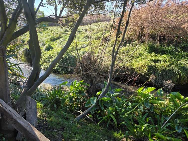 77 Whangaimoana Beach Road Lake Ferry_9