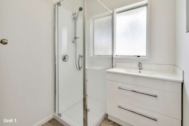 196 Buckland Road Mangere East_5