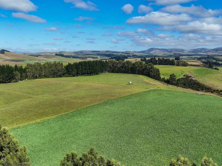 125 Tomogalak Road Ardlussa_2