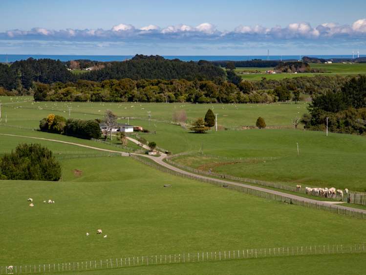 438 Omahina Road Waverley_24