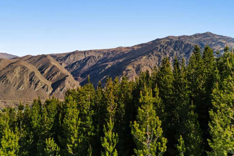 Lot 1 & 5 Ripponvale Road_5