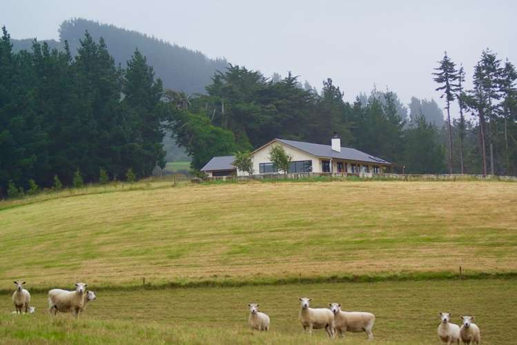 275 Mill Road Waimate_77