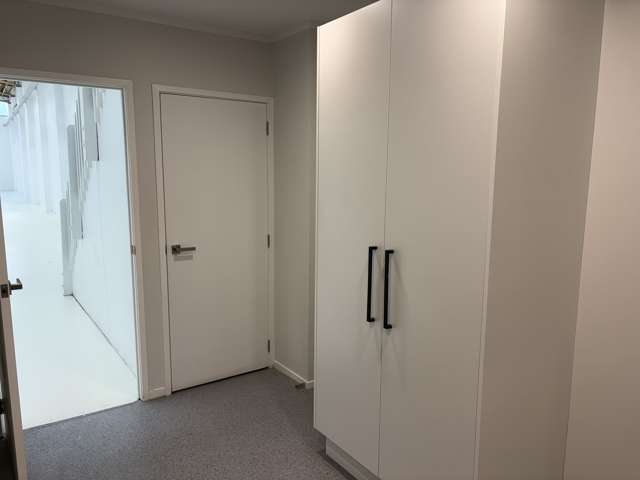 54 White Street Fenton Park_4