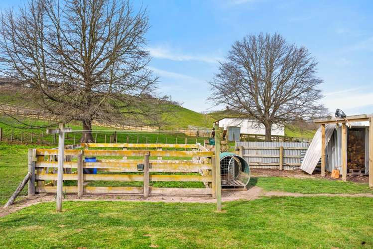 326 Kawera Road Pukehamoamoa_17