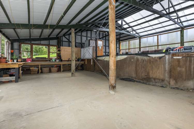 245 Wallace Road Koputaroa_22