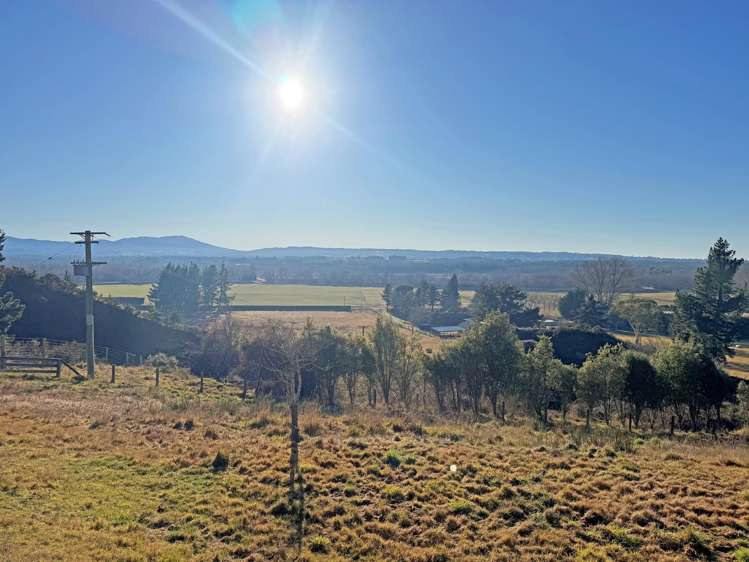 773 Mount Thomas Road Fernside_28