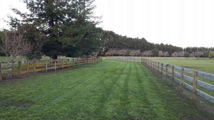 10a Brighton Grove Newstead_8