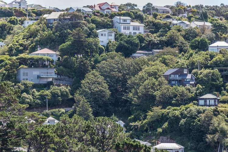 34 Orangi Kaupapa Road Northland_3