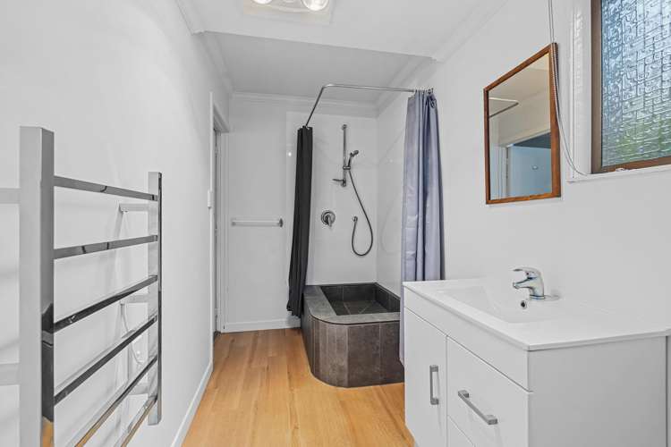 174 Huatoki Street Upper Vogeltown_16