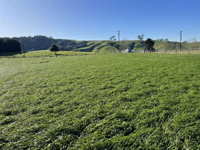 644B Bayley Road Te Awamutu_2