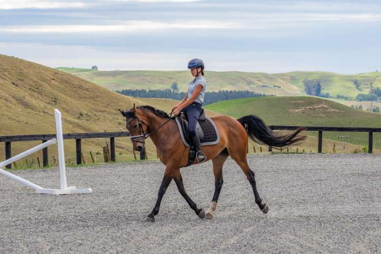 1222 Taihape Road Sherenden_15