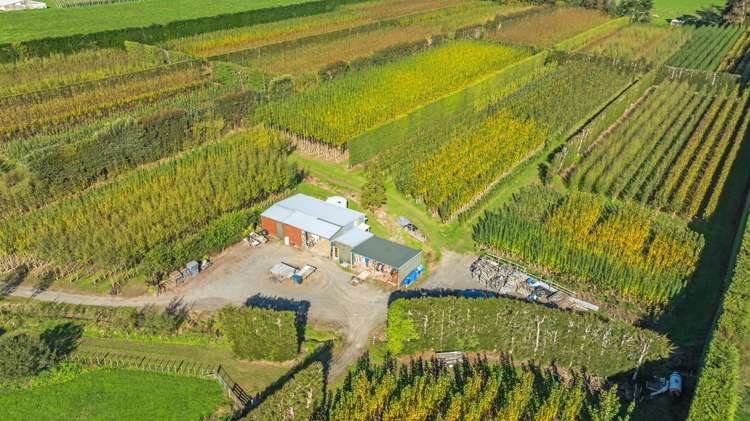 96 Engles Road Shannon_22