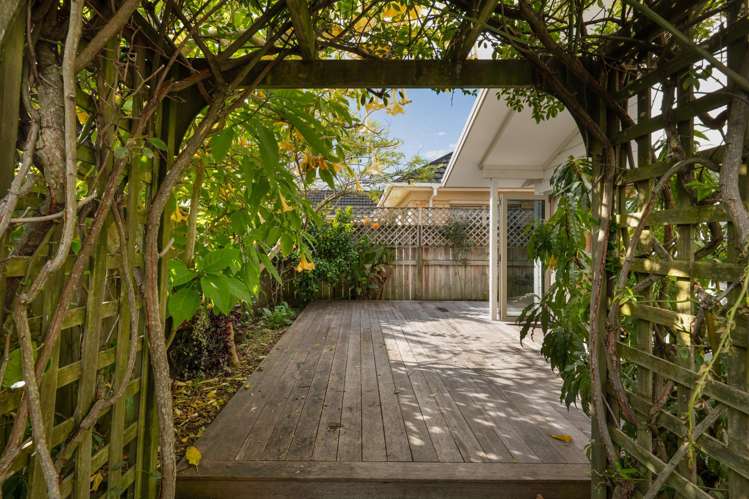 19B Jocelyn Street Katikati_9