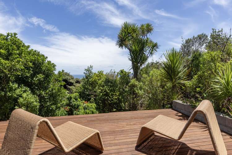 69 Piha Road Piha_19