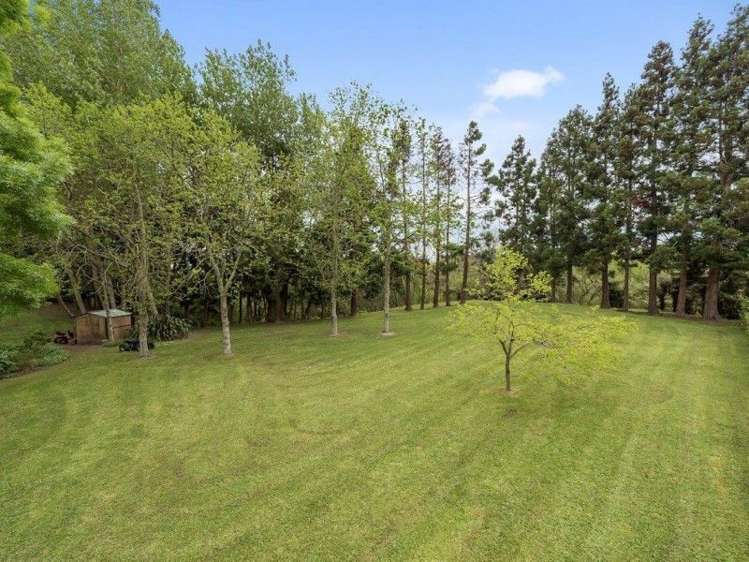 50c Trentham Road Matangi_20