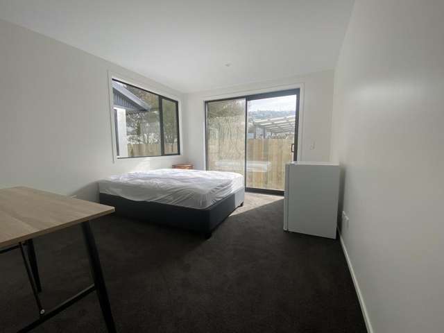 59 Burns Street South Dunedin_3