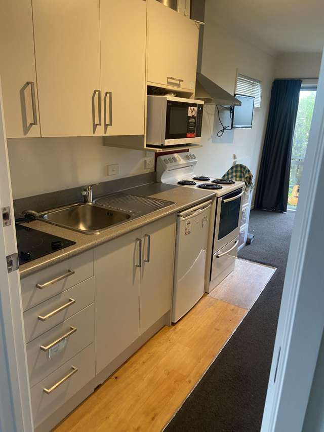 2/54 May Street Hamilton East_4