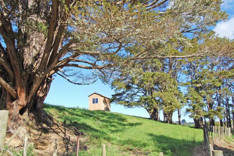 36 Tawa Avenue Kaiwaka_3