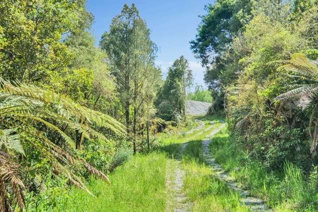 1946 Arnold Valley Road Moana_3