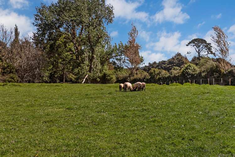 267 Union Road Mauku_34