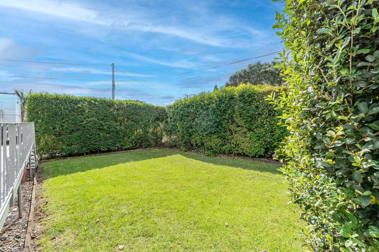 13A Carlton Street Hillsborough_15