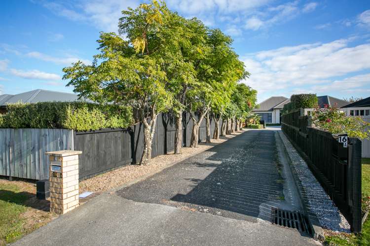 18a Saffron Street Cambridge_23