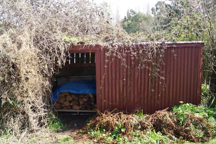 6 Lyndon Street Waiau_15