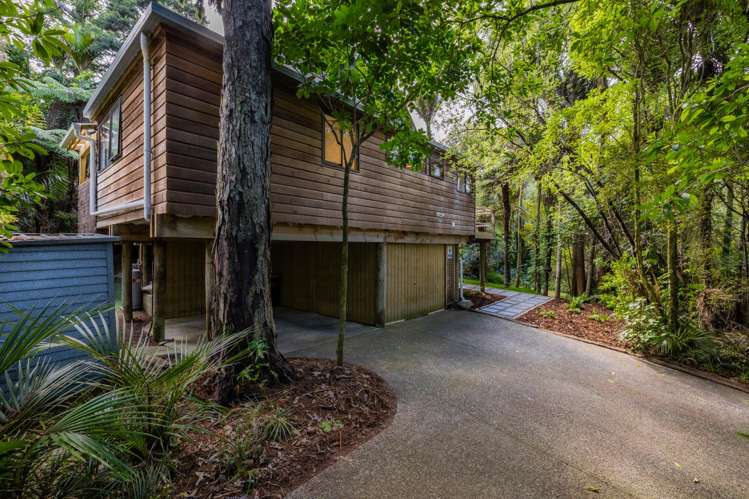 20 York Road Titirangi_17