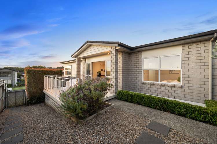 231 Jeffs Road Flat Bush_5