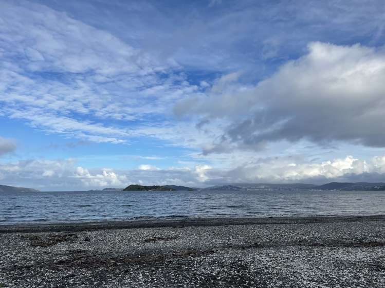 219 The Esplanade Petone_13