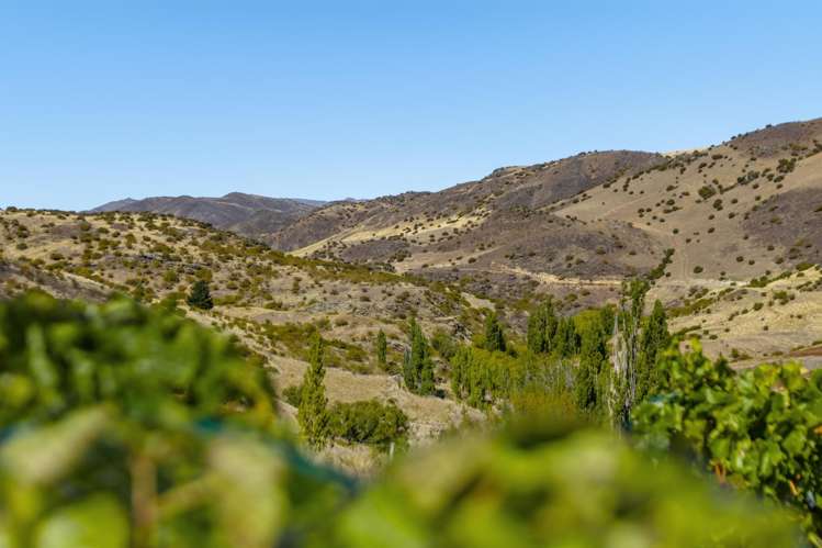 98c Paterson Road Nevis_16