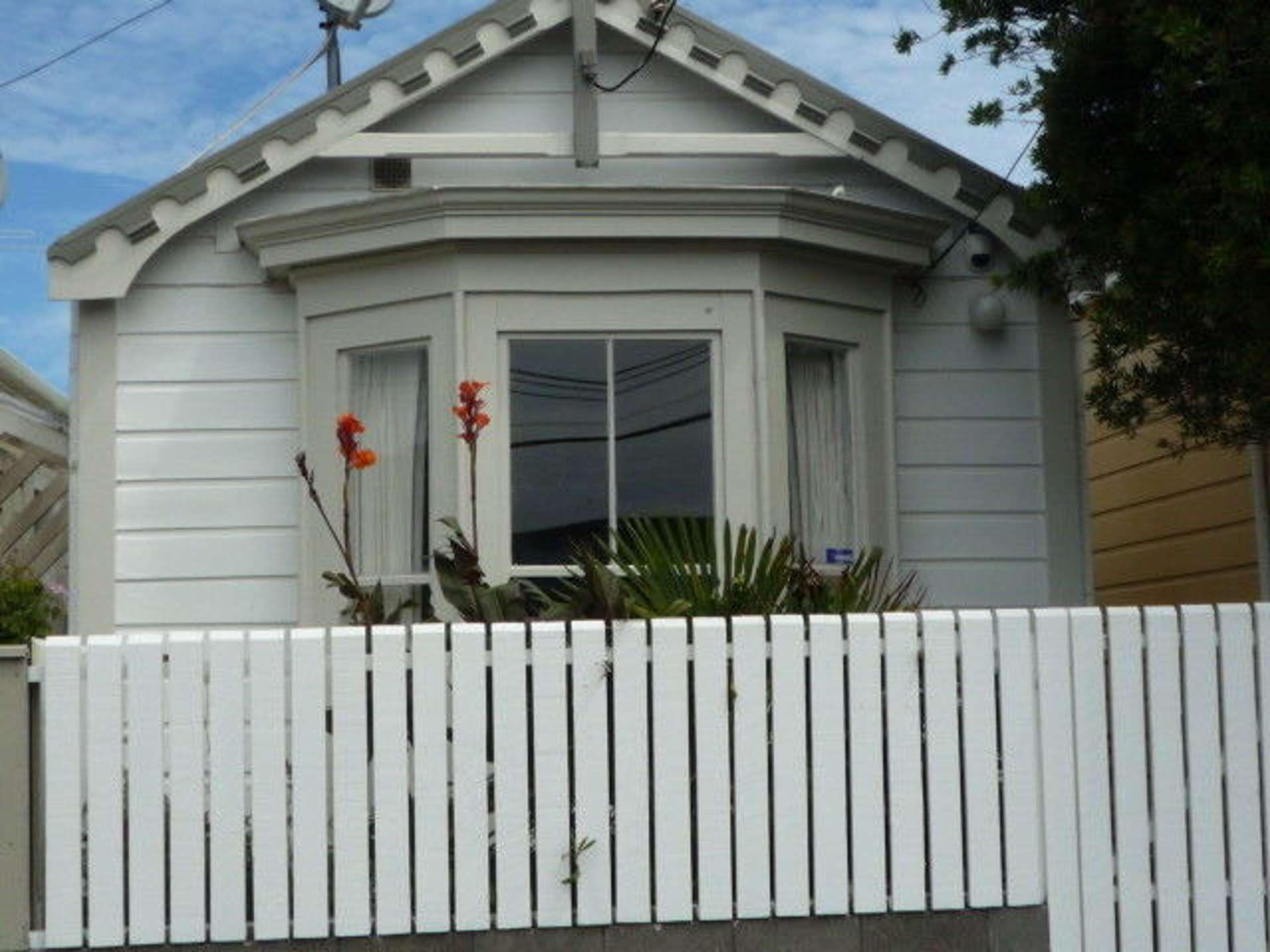 19 Douglas Street Mount Cook_0