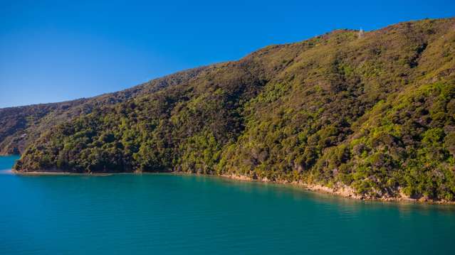 Lot 3 Patten Passage, Arapaoa Island Queen Charlotte Sound_3