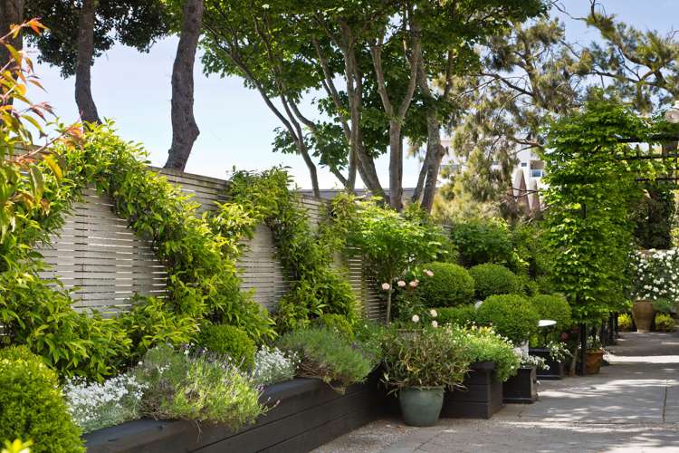 7/32 Hobson Street Thorndon_2