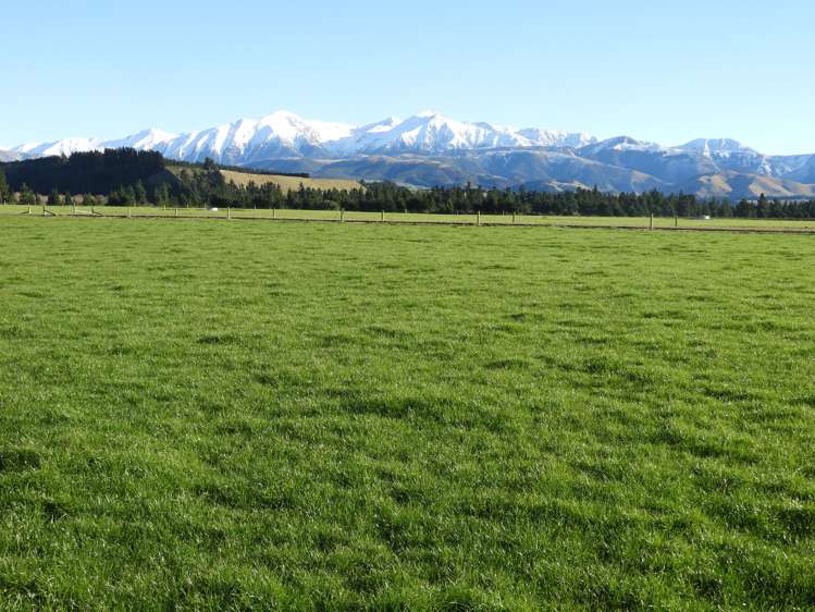 400 Keens Road Springfield_10