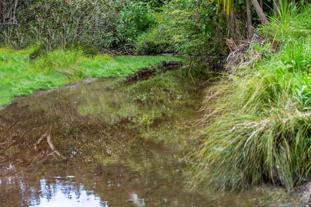 49 Esmeralda Avenue Avondale_4