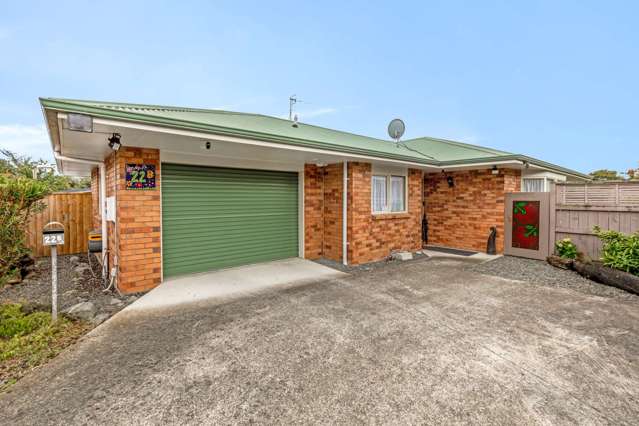 22B Reeve Street Levin_2
