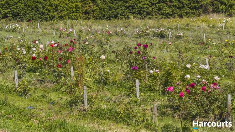 77 Douglas Road Motueka_14