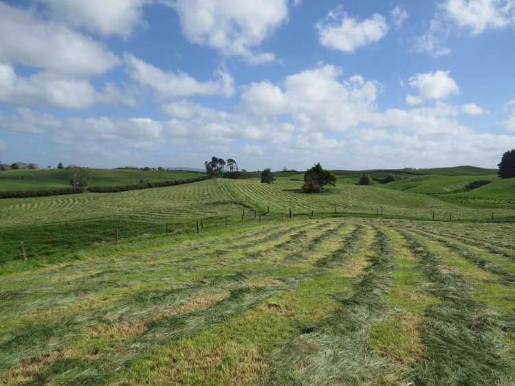 114 Pukekapia Road Ruawaro_0