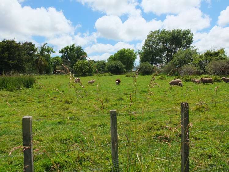 65 Avenue Road Foxton_5