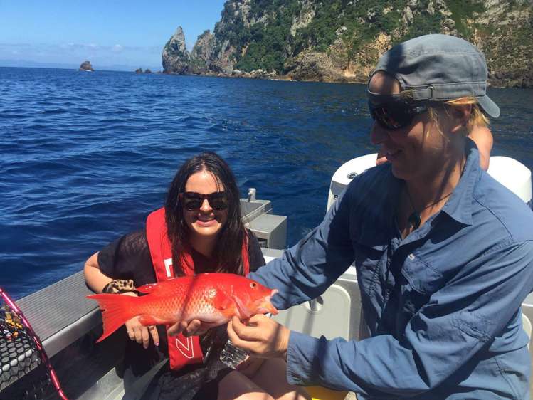 190 Pacific Ocean, Slipper Island (Whakahua) Thames_45